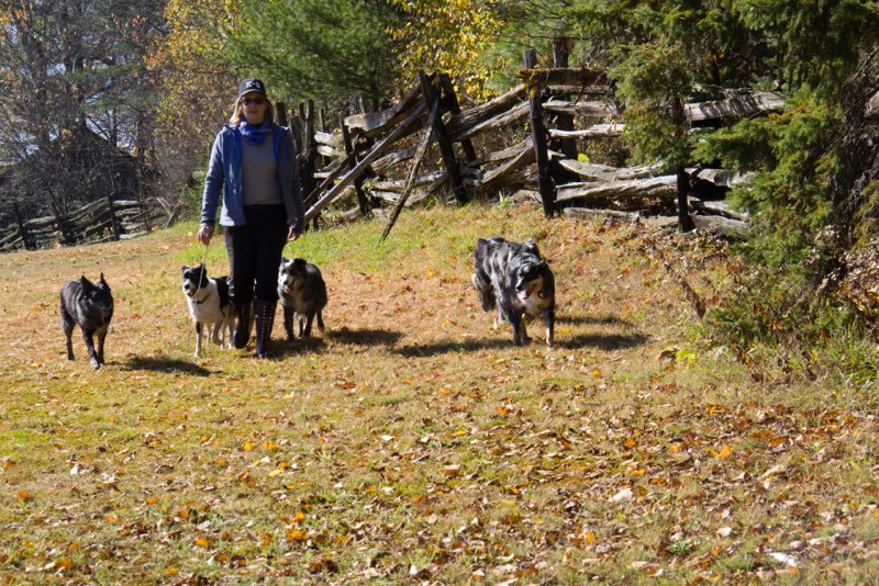 Item image expands on click